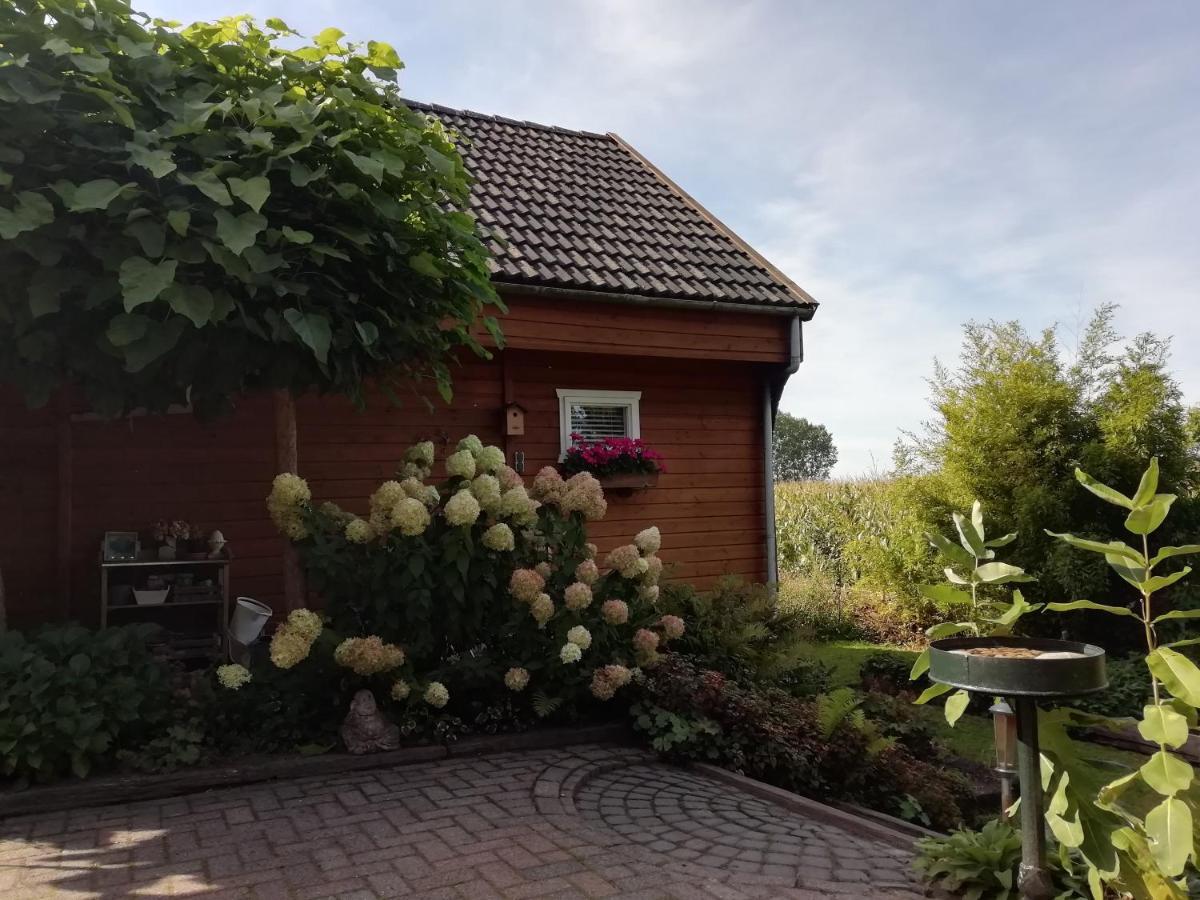 Woodstock B+B Villa Drouwenermond ภายนอก รูปภาพ